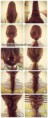 /album/ucesy/a47584-562565793771846-2011029208-n-jpg/